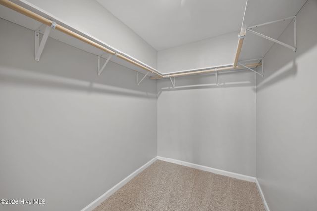 4500 Sandstone Drive, Greenville, NC 27858