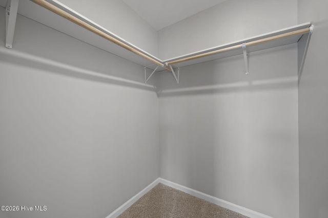 4500 Sandstone Drive, Greenville, NC 27858