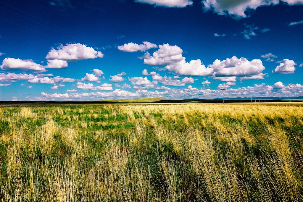 Little Muddy Creek Ranch, Cascade, MT 59421 photo 12
