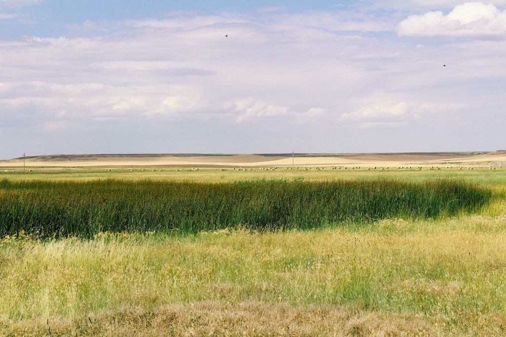 Little Muddy Creek Ranch, Cascade, MT 59421 photo 13