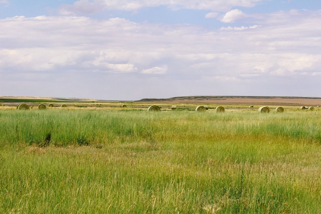 Little Muddy Creek Ranch, Cascade, MT 59421 photo 17