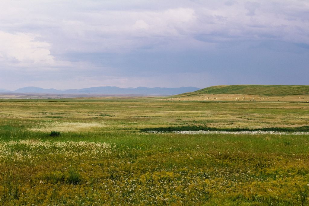 Little Muddy Creek Ranch, Cascade, MT 59421 photo 28