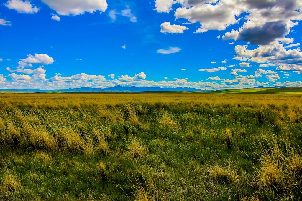 Little Muddy Creek Ranch, Cascade, MT 59421 photo 29