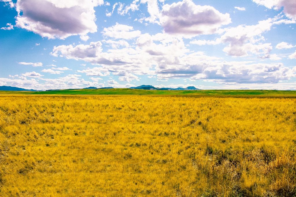 Little Muddy Creek Ranch, Cascade, MT 59421 photo 32