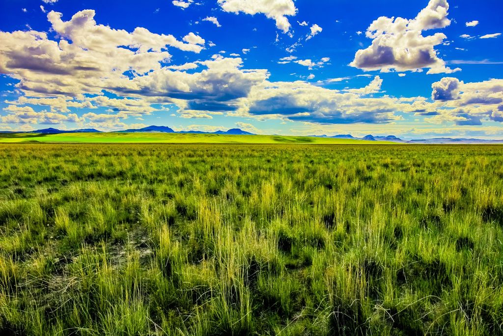Little Muddy Creek Ranch, Cascade, MT 59421 photo 35