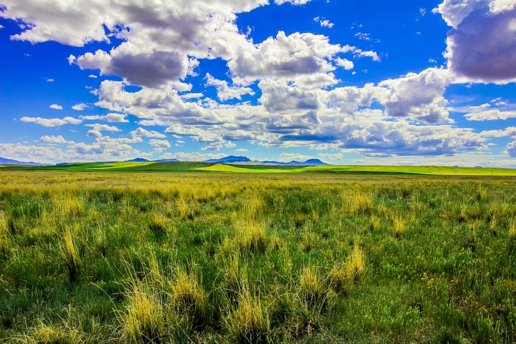 Little Muddy Creek Ranch, Cascade, MT 59421 photo 4