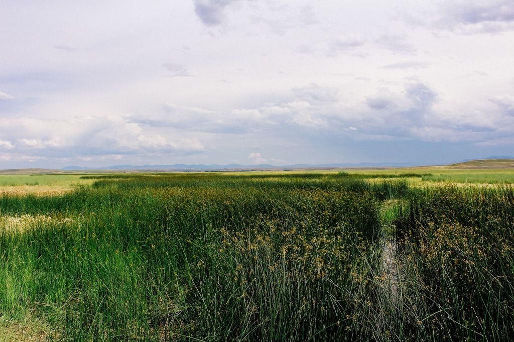 Little Muddy Creek Ranch, Cascade, MT 59421 photo 6
