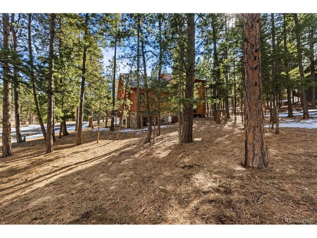1325 Spruce Ridge Ln, Woodland Park, CO 80863