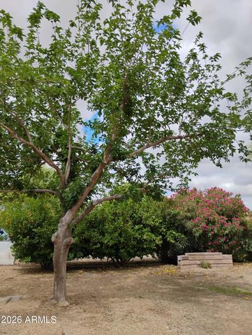 22744 E CARLA VISTA Drive, Mesa, AZ 85212