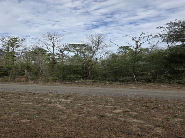 SW 141ST COURT, Ocala, FL 34481