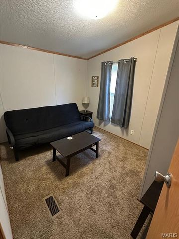 69 Mary Ann Lane, Wappapello, MO 63966