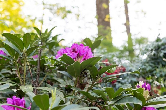 1856 Kristen Mill Way, Marietta, GA 30062