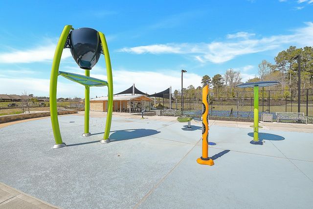 907 Youth Water Road, Montgomery, TX 77316