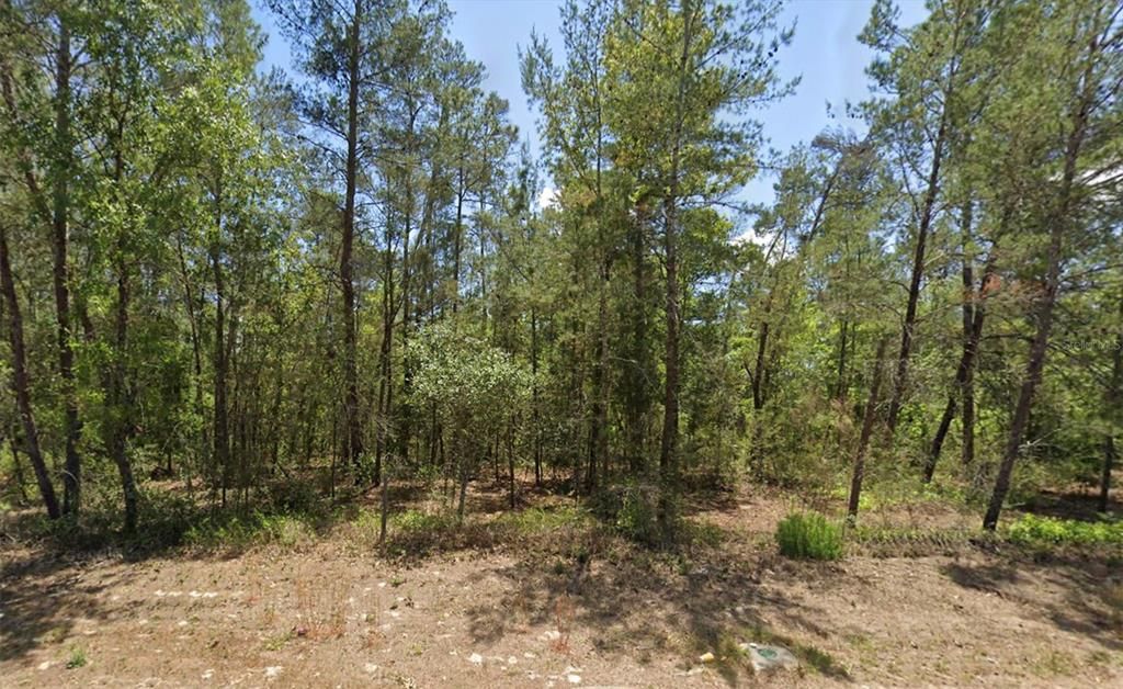 6230 W OAK PARK BOULEVARD, Homosassa, FL 34446