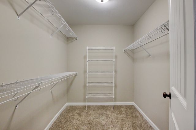 834 Rushing Dr, Clarksville, TN 37042