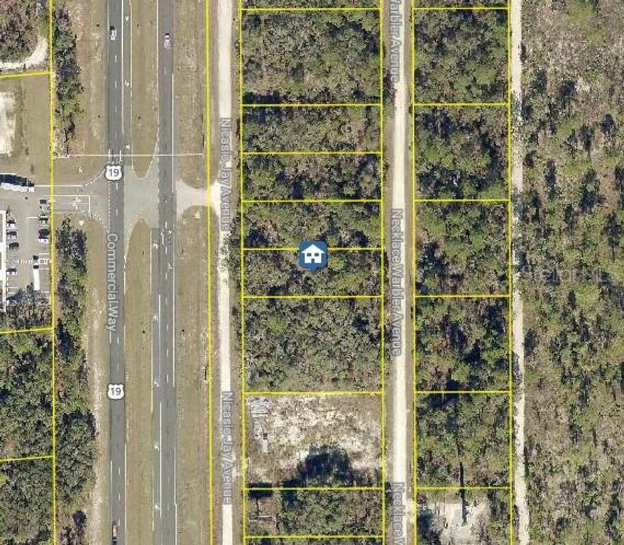 LOT 16 NECKLACE WARBLER AVENUE, Brooksville, FL 34614