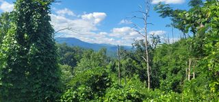Lot 8 Kristis Place, Gatlinburg, TN 37738