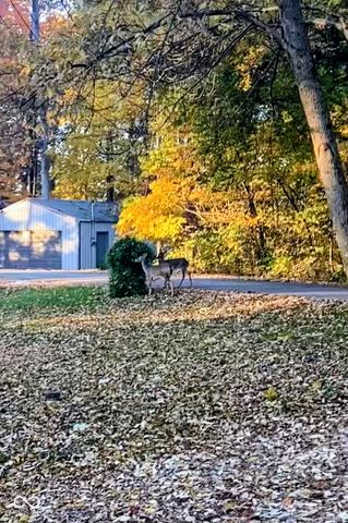 8379 S Christian Drive, Nineveh, IN 46164