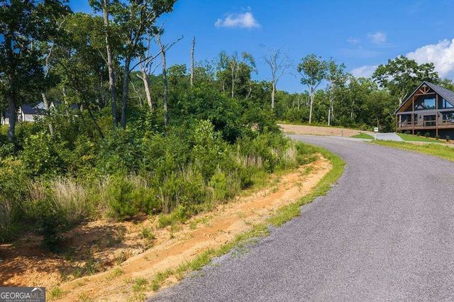 LOT 93 Timberline Trail 93, Talking Rock, GA 30175