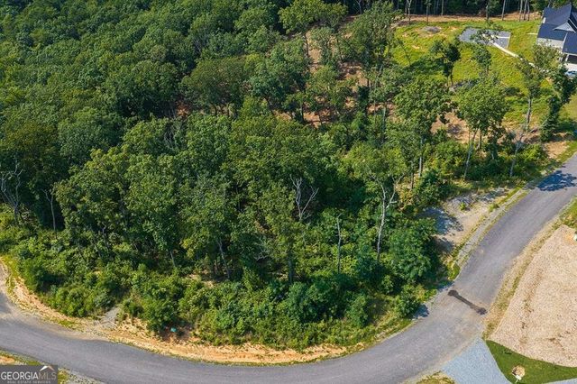 LOT 93 Timberline Trail 93, Talking Rock, GA 30175