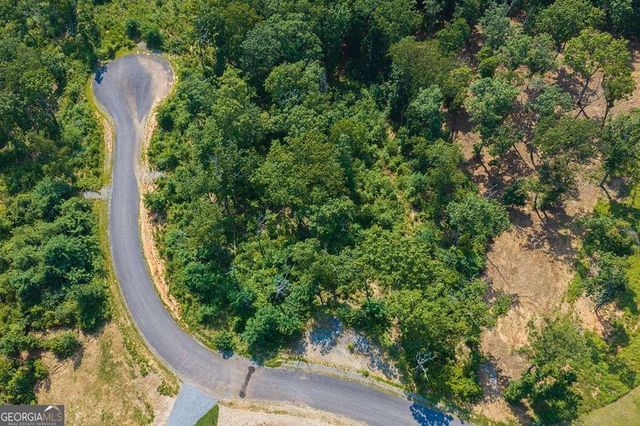 LOT 93 Timberline Trail 93, Talking Rock, GA 30175