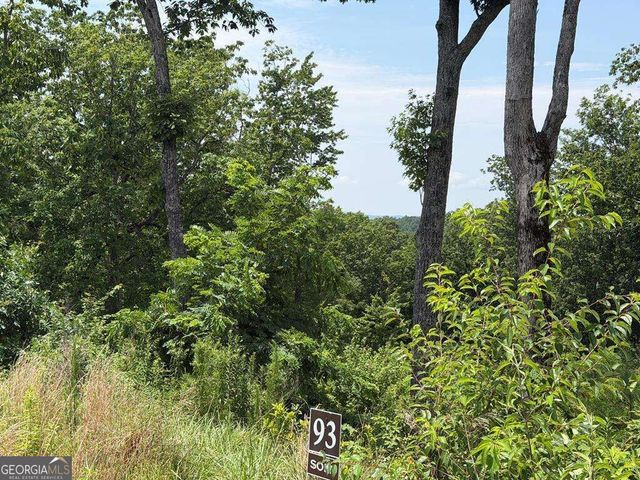 LOT 93 Timberline Trail 93, Talking Rock, GA 30175