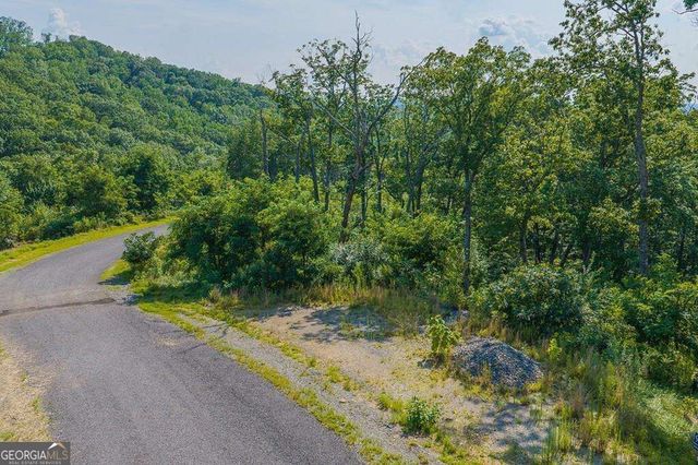 LOT 93 Timberline Trail 93, Talking Rock, GA 30175