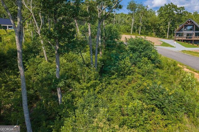 LOT 93 Timberline Trail 93, Talking Rock, GA 30175