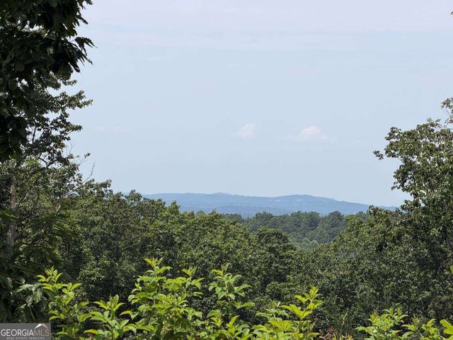 LOT 93 Timberline Trail 93, Talking Rock, GA 30175