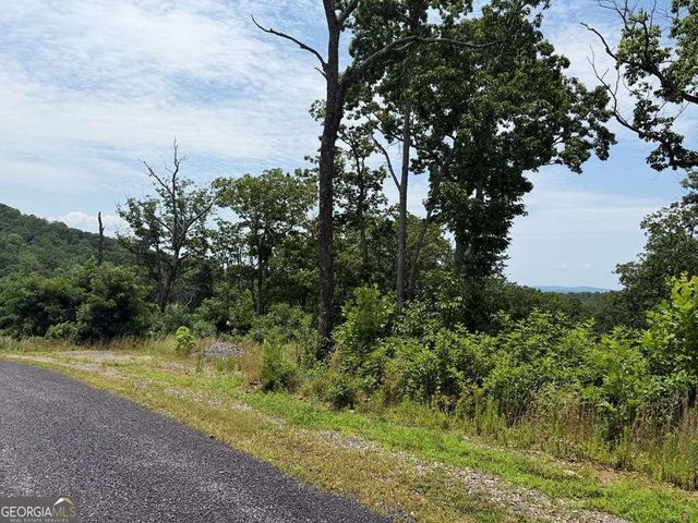 LOT 93 Timberline Trail 93, Talking Rock, GA 30175