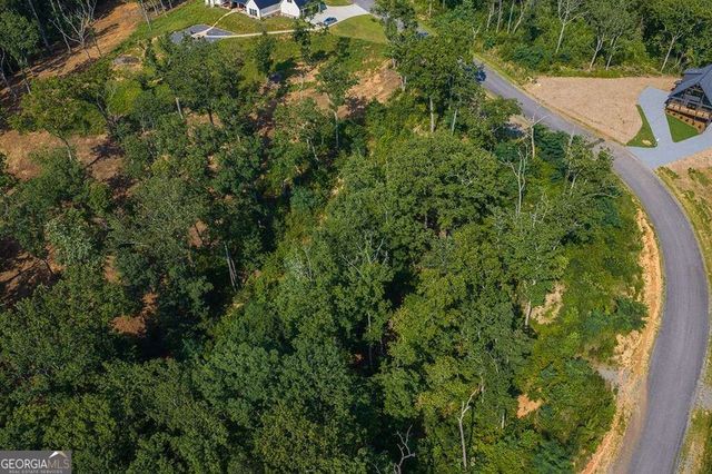 LOT 93 Timberline Trail 93, Talking Rock, GA 30175