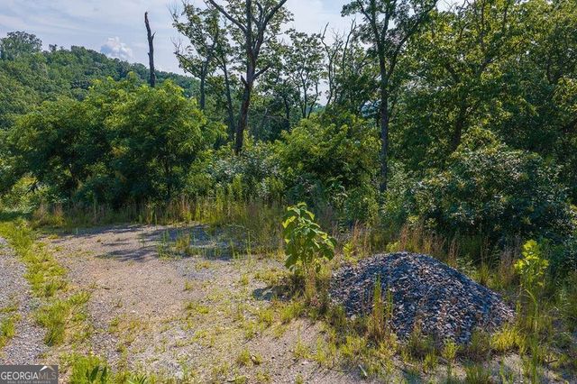 LOT 93 Timberline Trail 93, Talking Rock, GA 30175