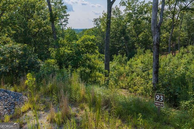 LOT 93 Timberline Trail 93, Talking Rock, GA 30175