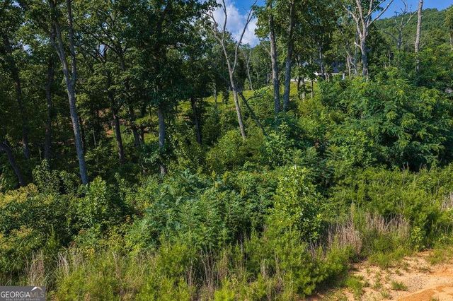 LOT 93 Timberline Trail 93, Talking Rock, GA 30175