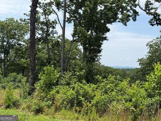 LOT 93 Timberline Trail 93, Talking Rock, GA 30175