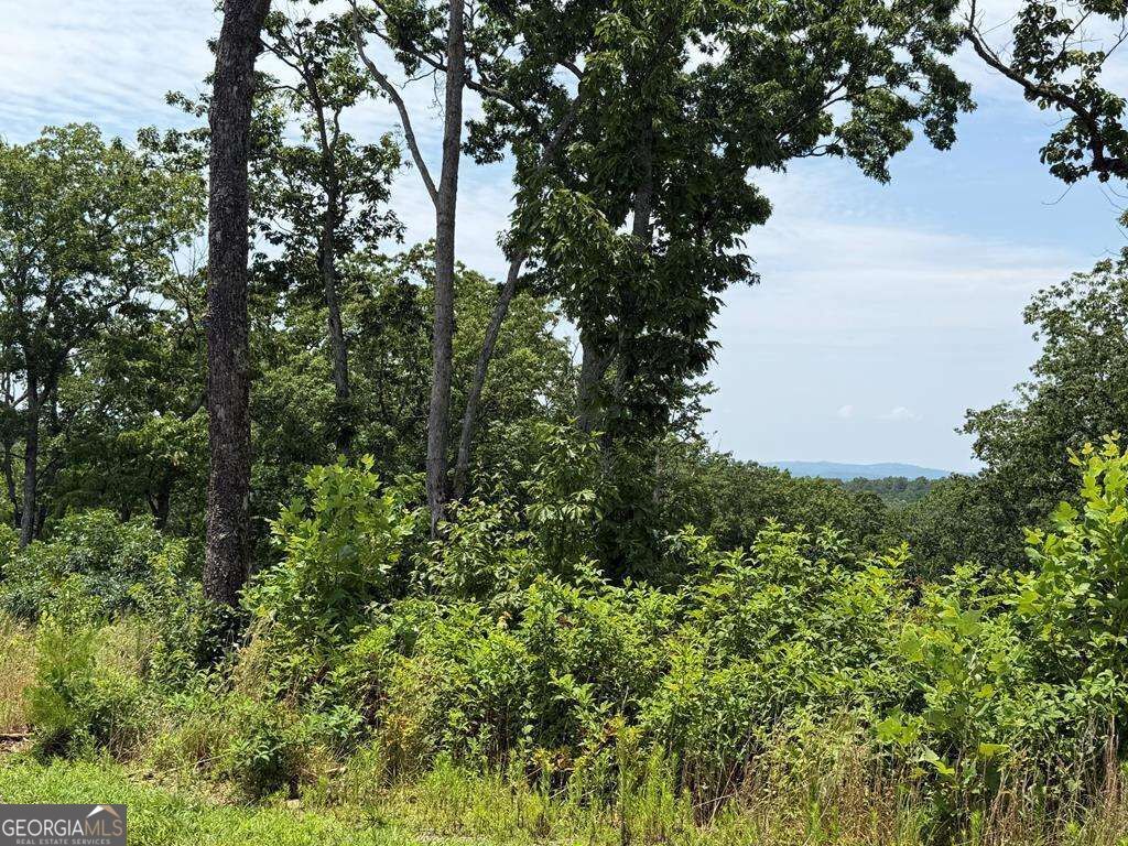 LOT 93 Timberline Trail 93, Talking Rock, GA 30175