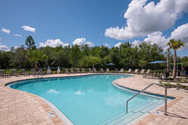 2936 SKYLINE LOOP, Kissimmee, FL 34758