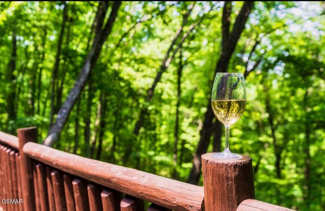 4328 Parkside Village Drive, Sevierville, TN 37862