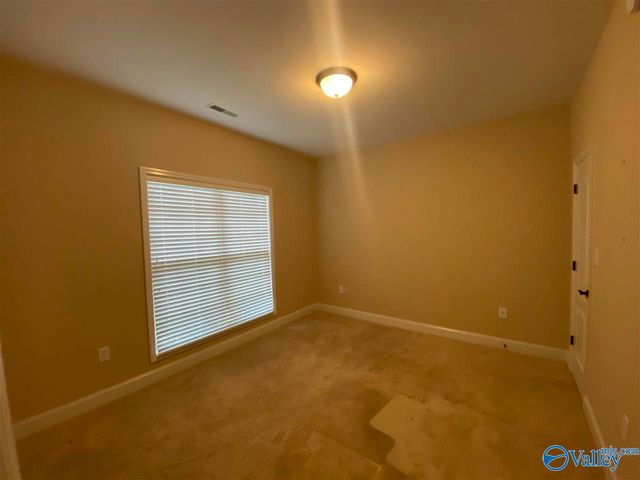 105 Riparian Court, Madison, AL 35758