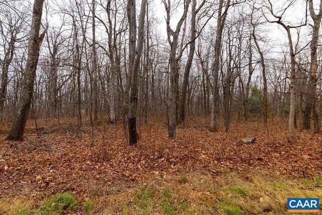 559 LAUREL SPRINGS DR, Wintergreen Resort, VA 22967