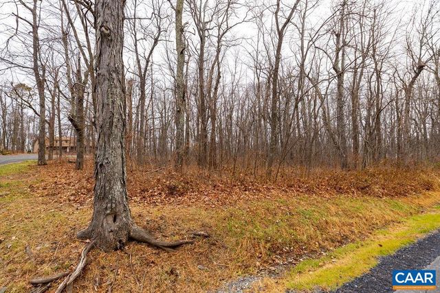 559 LAUREL SPRINGS DR, Wintergreen Resort, VA 22967