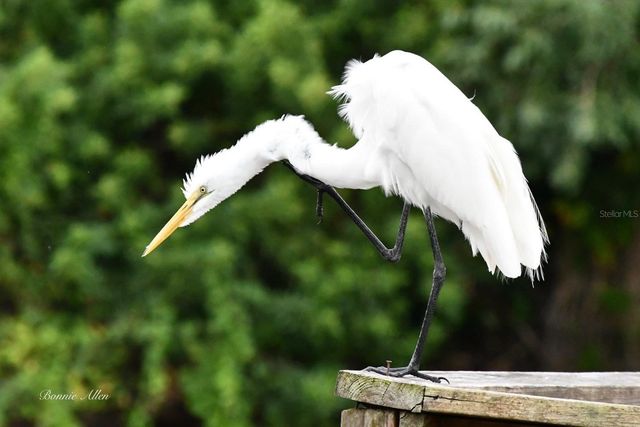 13121 BEACON COURT, Hudson, FL 34667