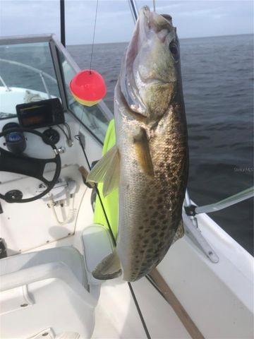 13121 BEACON COURT, Hudson, FL 34667