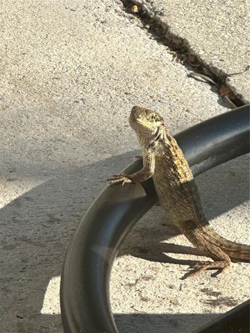 13121 BEACON COURT, Hudson, FL 34667