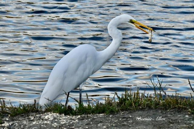 13121 BEACON COURT, Hudson, FL 34667