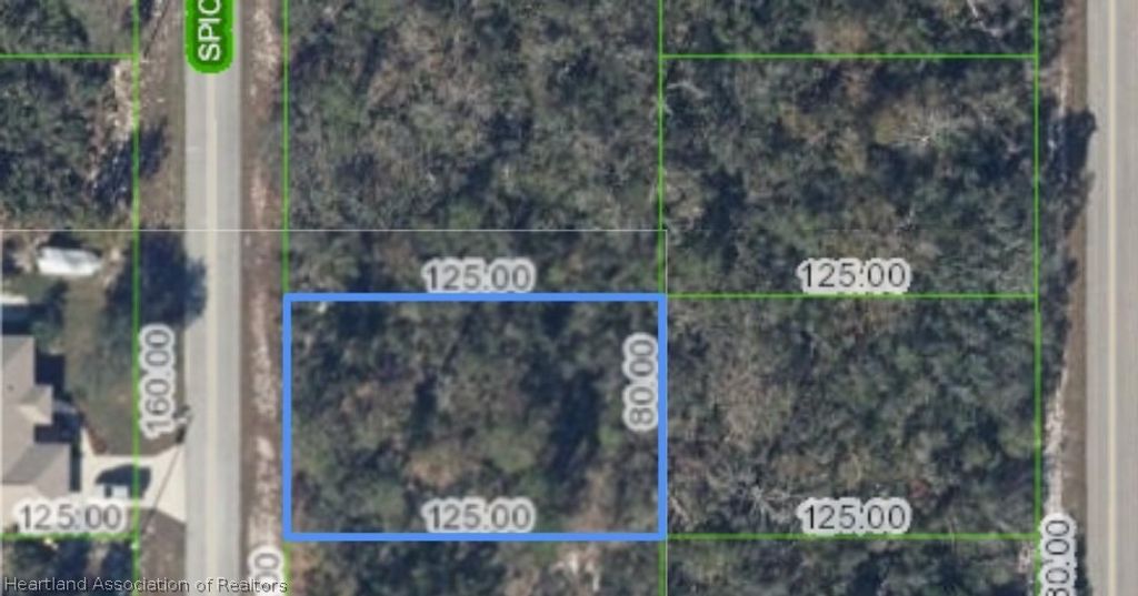 220 SPICE Avenue NE, Lake Placid, FL 33385