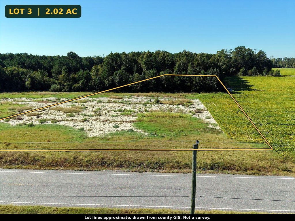 TBD N Nichols Hwy., Nichols, SC 29581 — photo 4