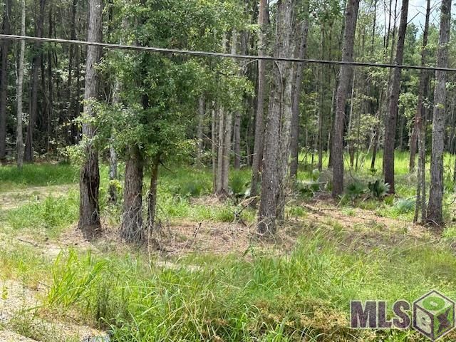 14373 Springfield Rd, Walker, LA 70785