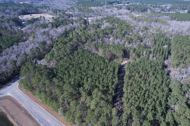 31.40 Acres-TBD Pennyroyal Rd., Georgetown, SC 29440