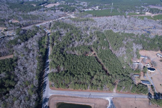 31.40 Acres-TBD Pennyroyal Rd., Georgetown, SC 29440